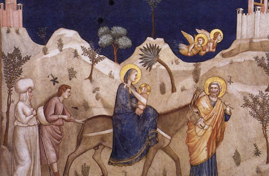 Column ‘Word and Creation’ – Holy Family Sunday