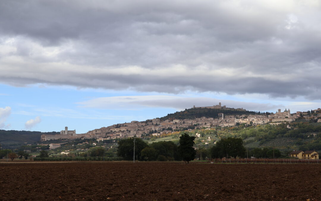 2026 Activity Program, in the Franciscan Jubilee Year