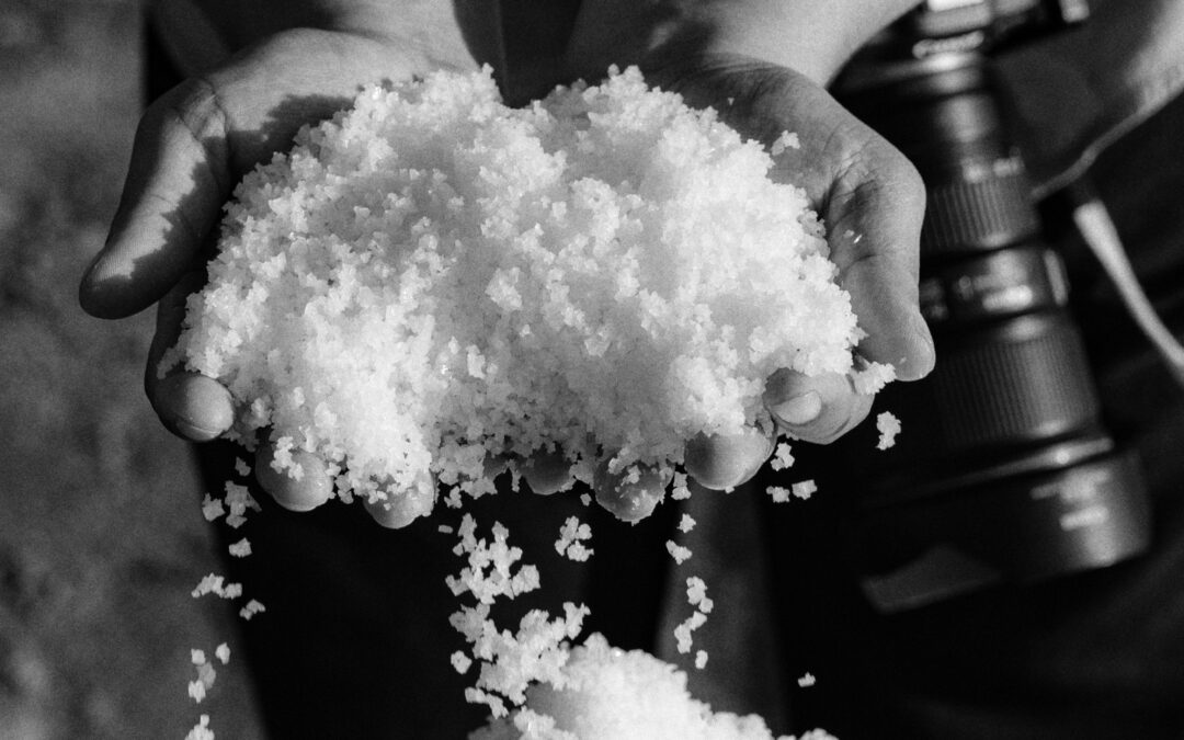 Rubrica “Parola e Creazione” – V domenica del tempo ordinario