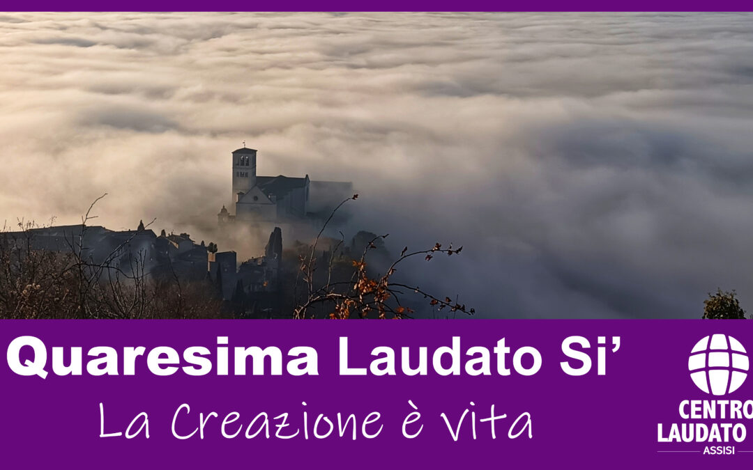 Quaresima Laudato Si’ “La Creazione è vita”