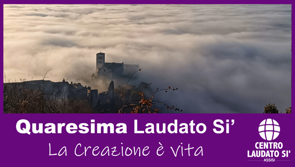 Quaresima Laudato Si’ “La Creazione è vita”